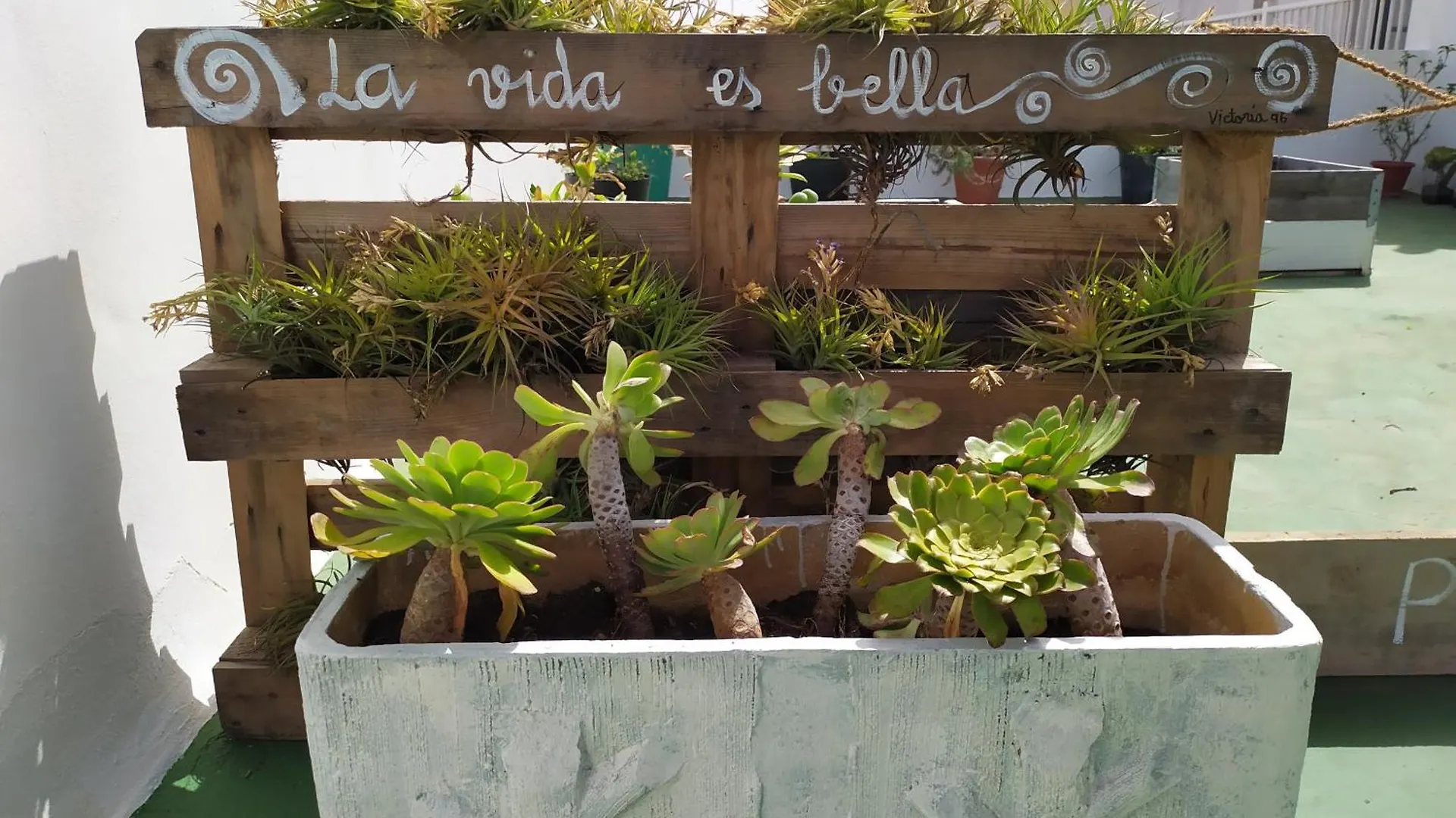 Apartamento Cómodo estudio en el norte de Tenerife Sauzal
